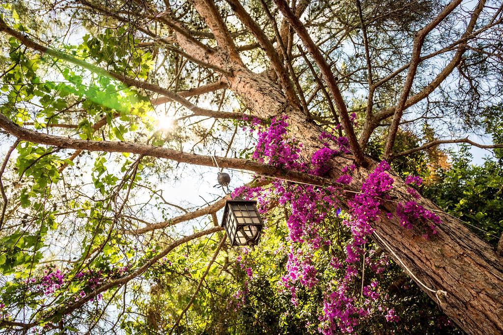 Secret Garden Hotel & Bungalows Чирали Экстерьер фото